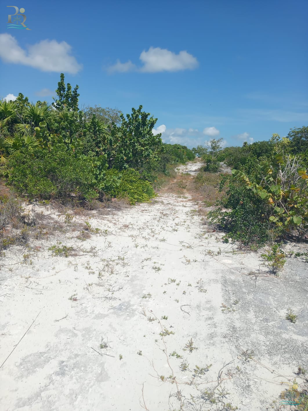 Property gallery 5000 M OCEAN FRONT LAND