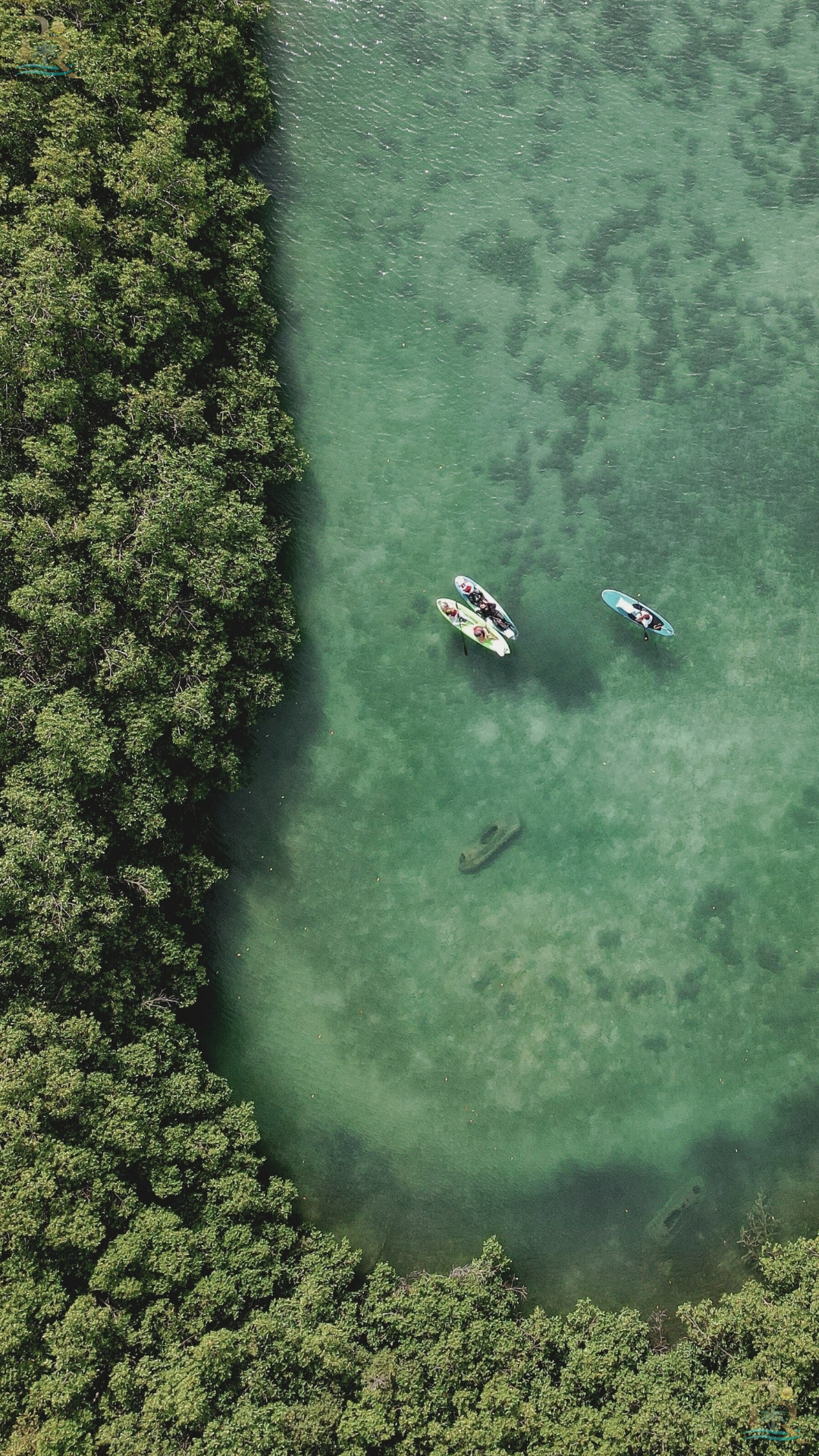 Property gallery Live the center. Walk your day.