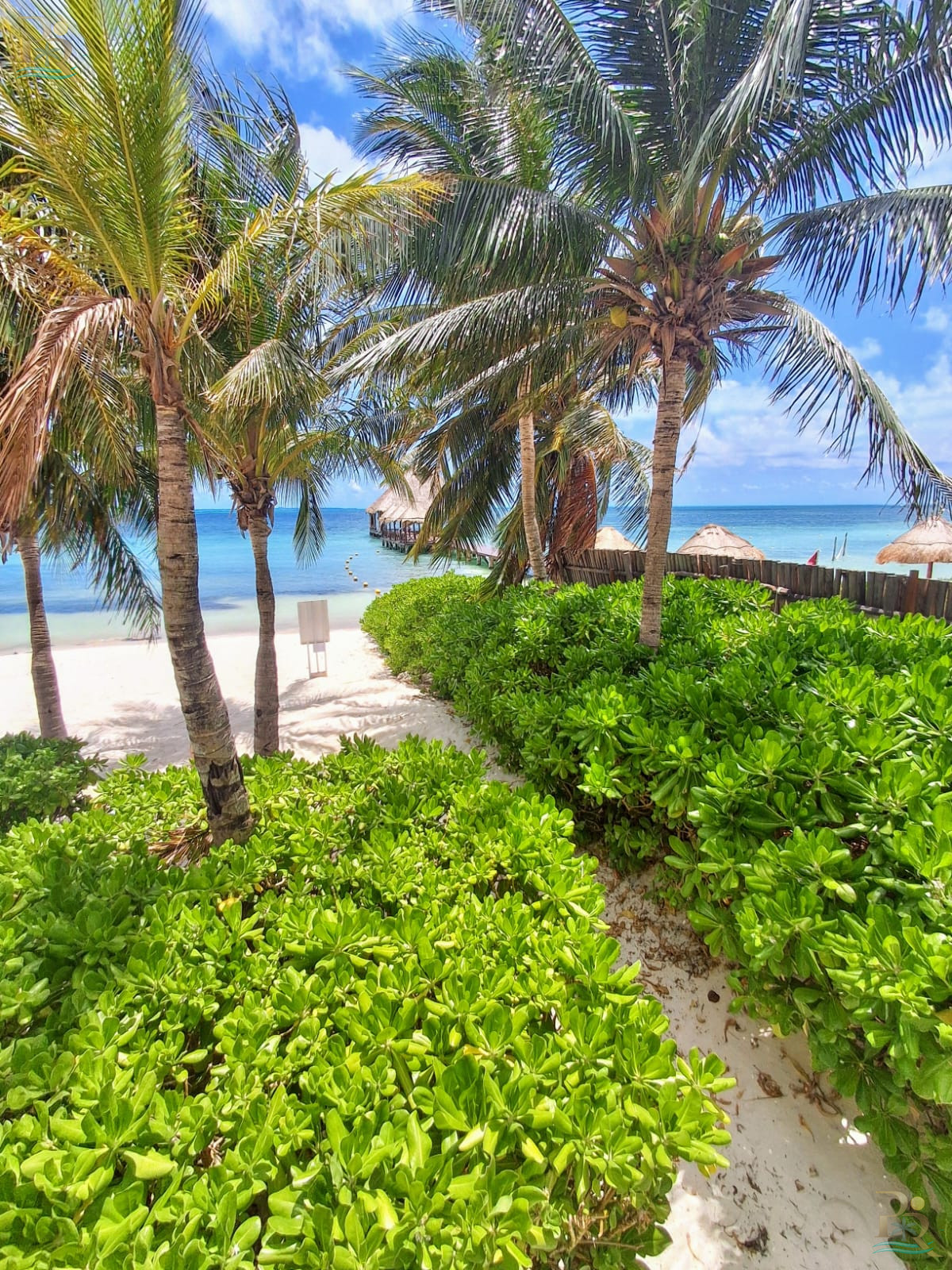 Property gallery SPECTACULAR BEACHFRONT PENTHOUSE