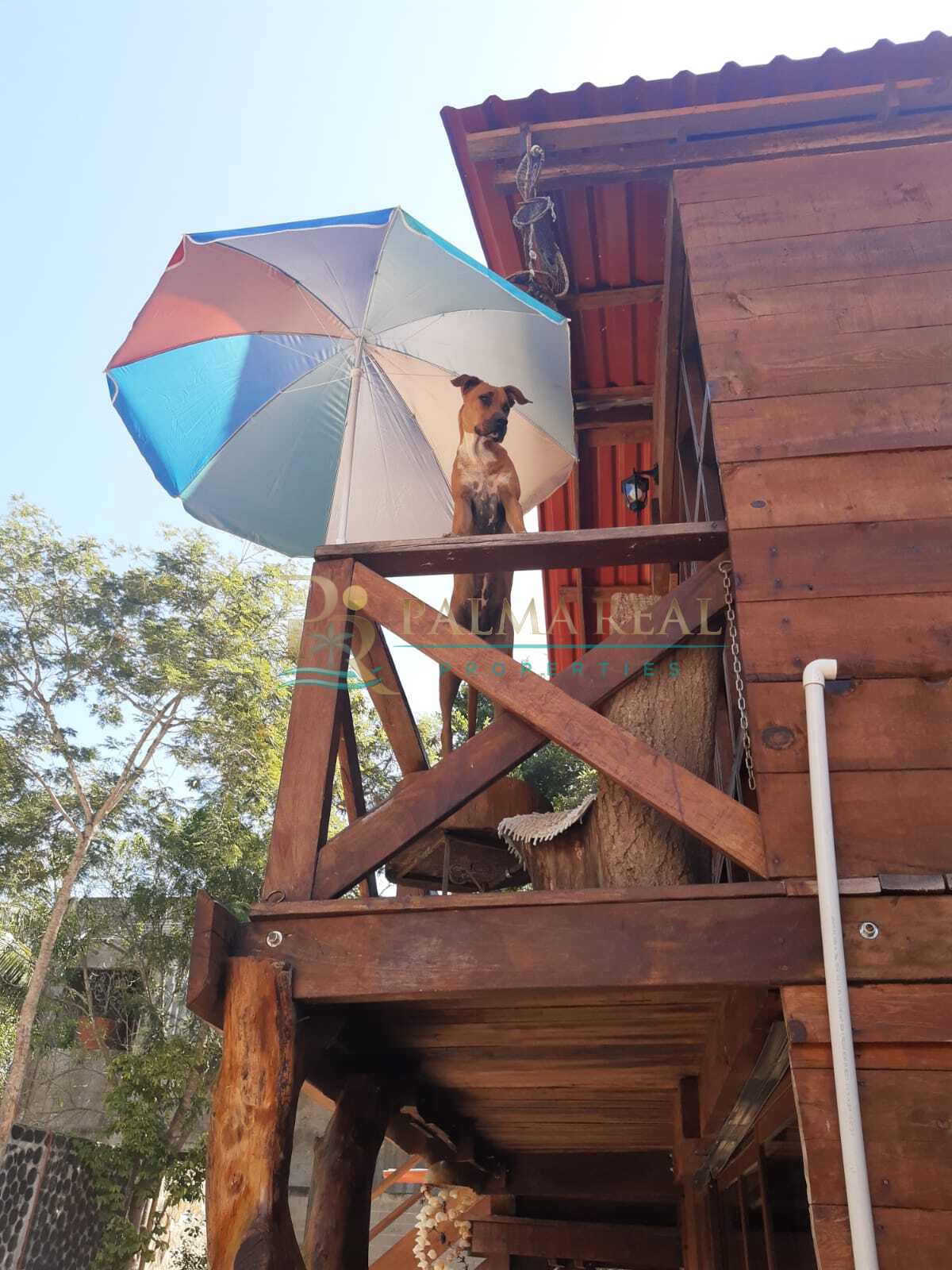 Property gallery DREAMS CARIBBEAN CHALET