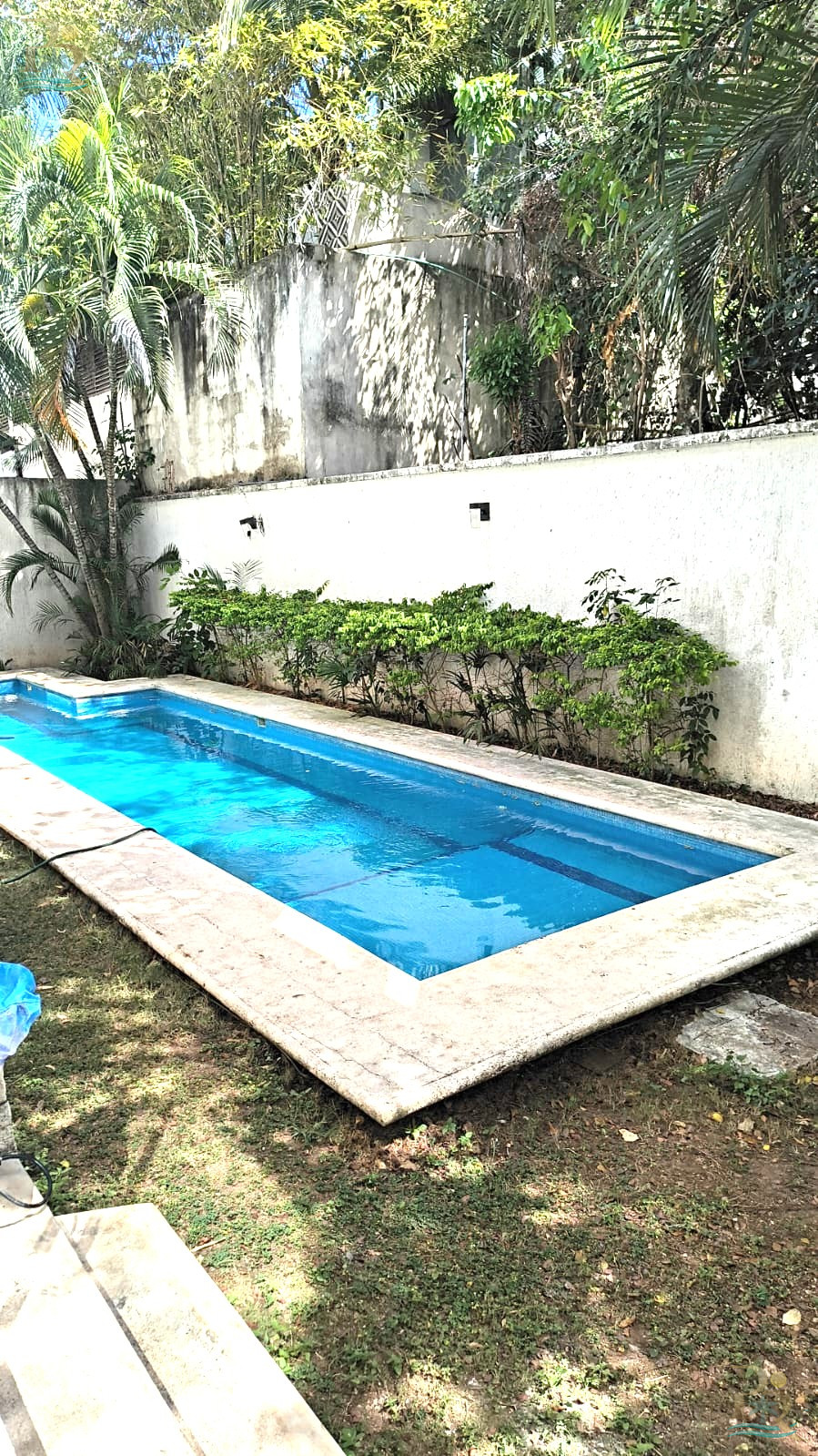 Property gallery Beautiful Fully Furnished Garden Apartment with Pool – 5 Minutes from Cancun Beaches