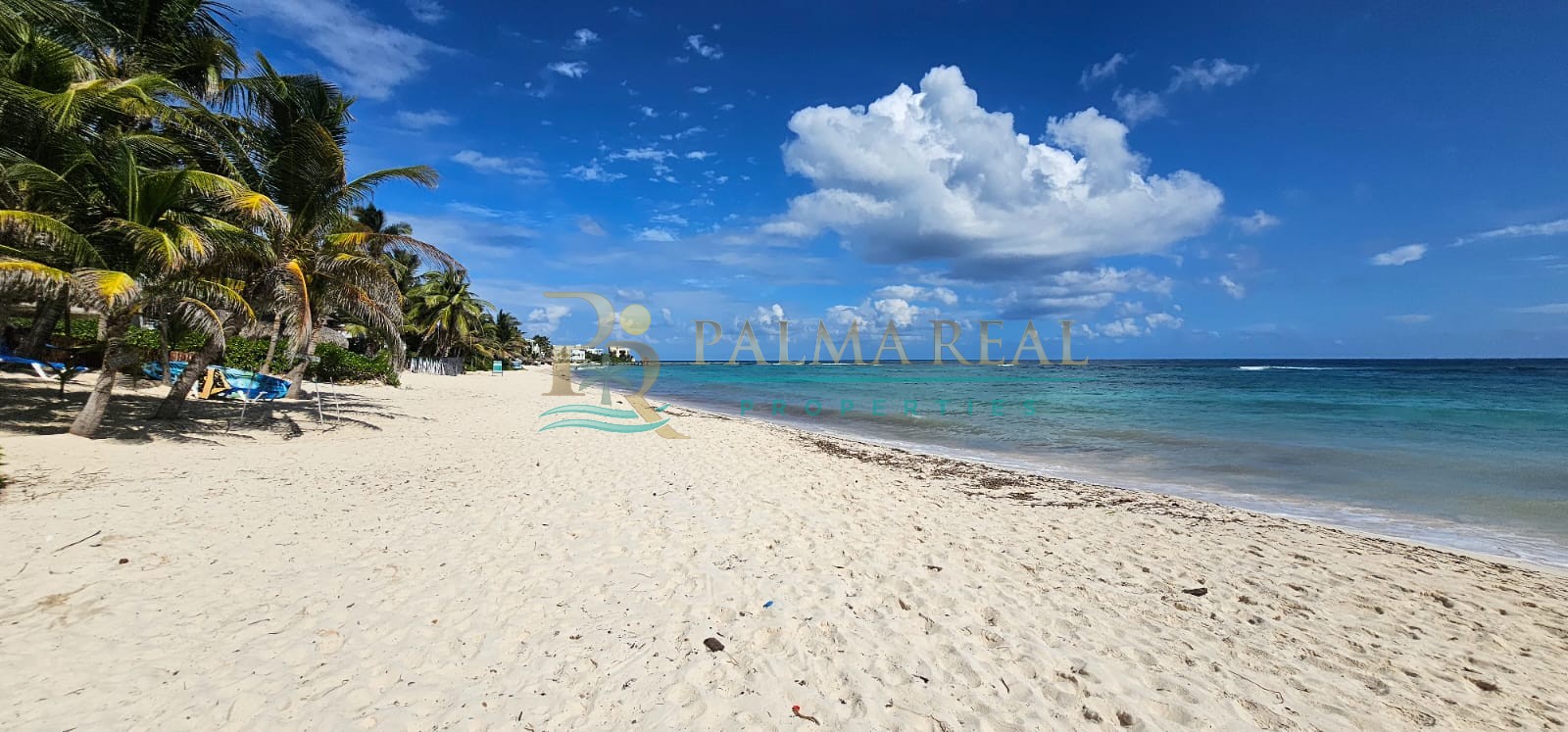 Property gallery OCEAN FRON LAND 870 METERS | RIVIERA MAYA