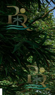 Property gallery “St Regis Residences” Luxury Residences, Playa Mujeres