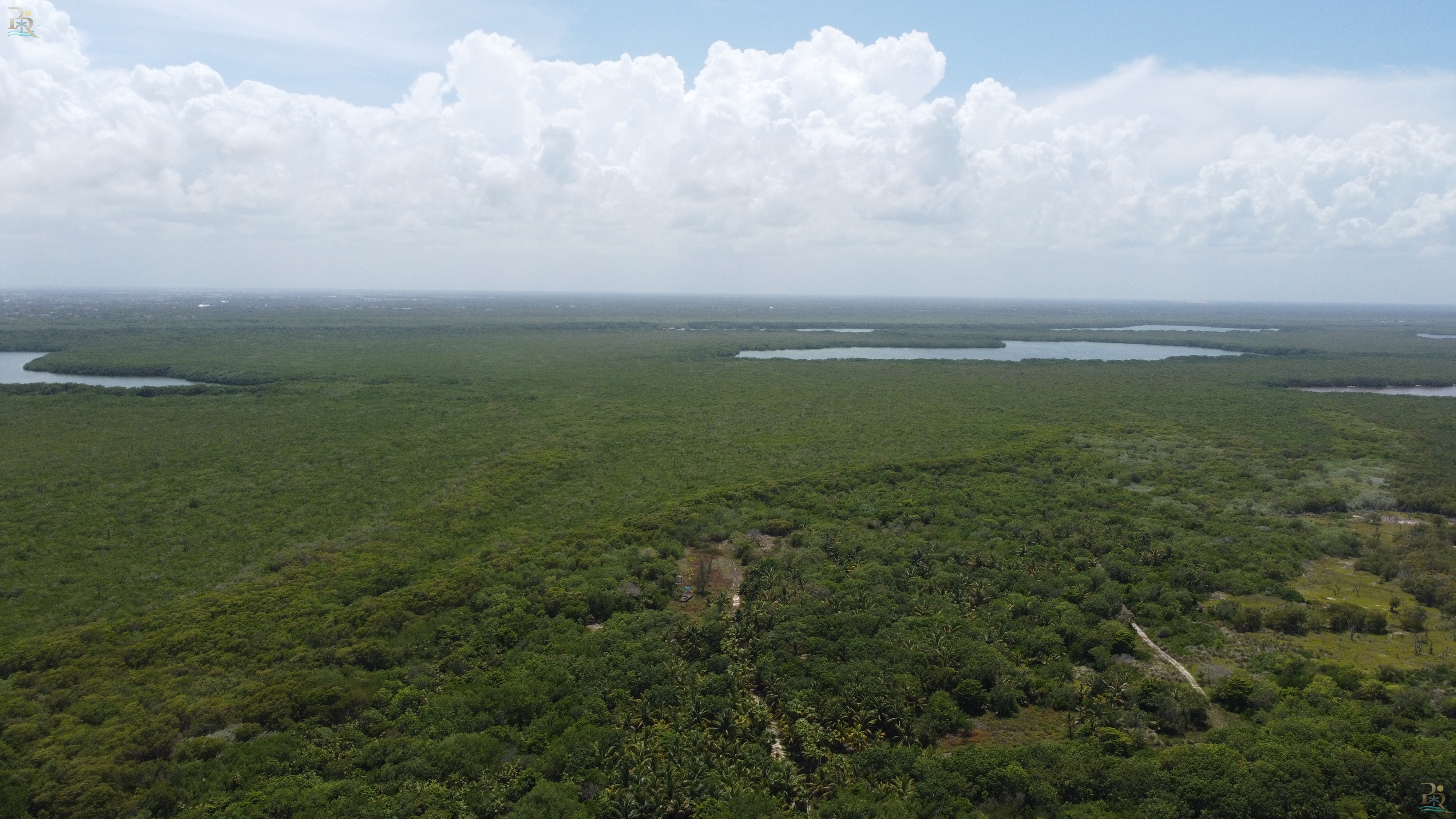 Property gallery ACROSS FROM THE OCEAN LAND: 800 m2 FOR RESIDENTIAL OR TOURISTIC DEVELOPMENT IN THE MEXICAN CARIBBEAN