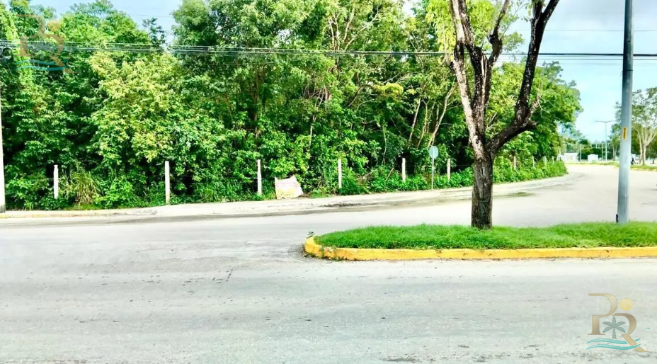 Property gallery Invest in Growth –  Development Opportunity