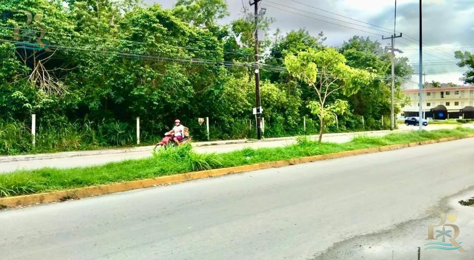 Property gallery Invest in Growth –  Development Opportunity