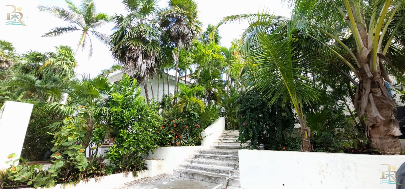 Property gallery WAKE UP TO THE SOUND OF THE SEA: OCEANFRONT APARTMENT IN AKUMAL