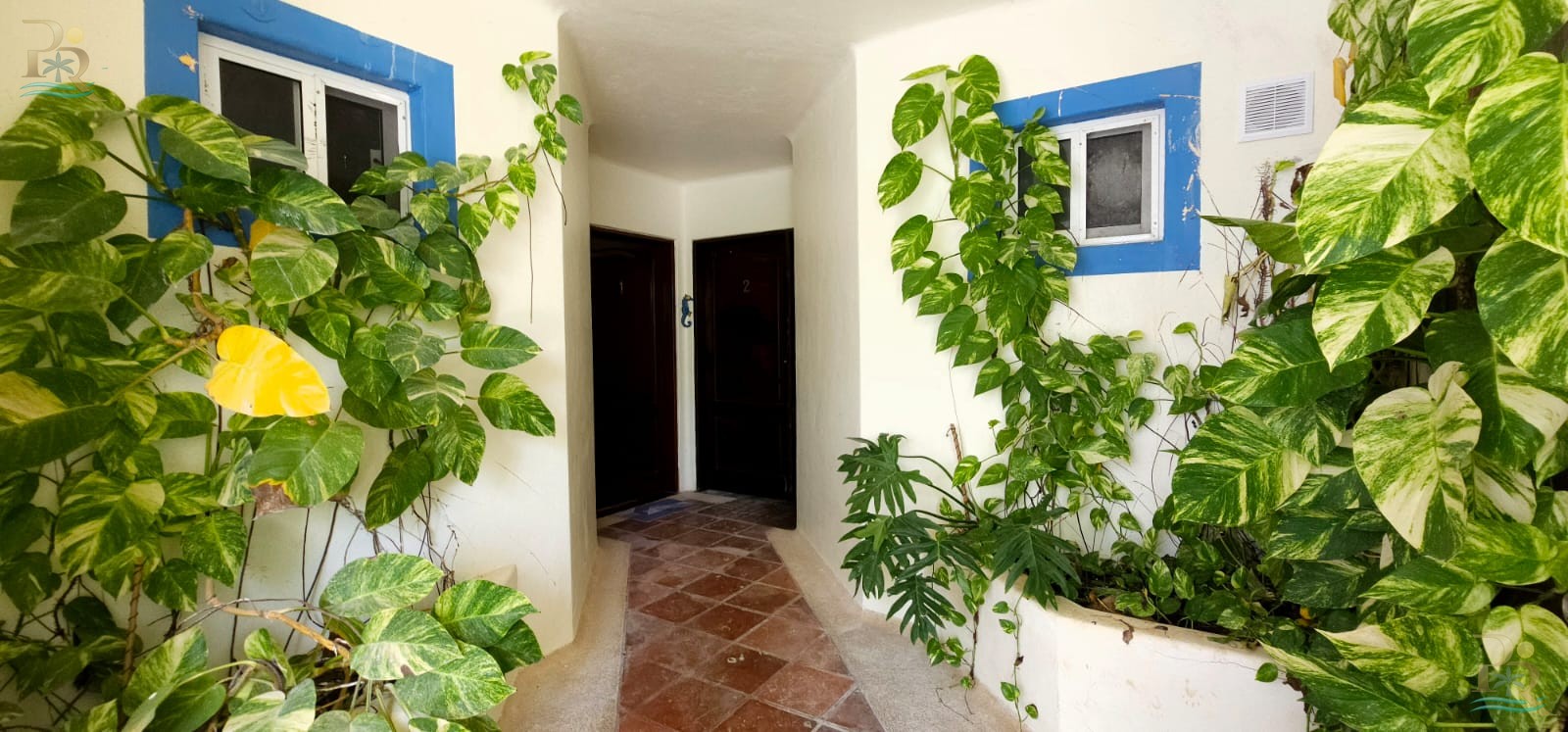 Property gallery WAKE UP TO THE SOUND OF THE SEA: OCEANFRONT APARTMENT IN AKUMAL