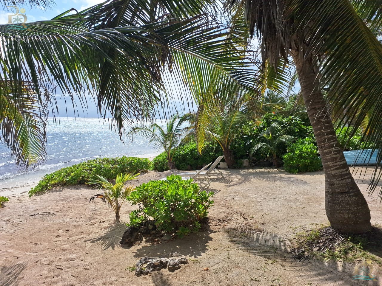 Property gallery WAKE UP TO THE SOUND OF THE SEA: OCEANFRONT APARTMENT IN AKUMAL